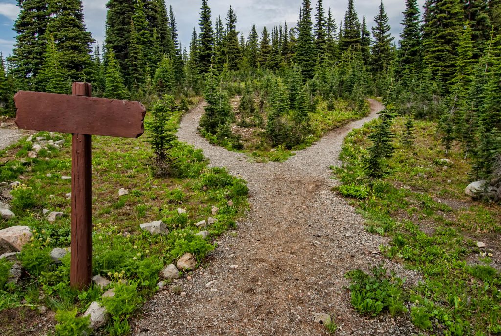 Top Tips for Success in Adventure: How to Prepare, Explore, and Thrive Outdoors